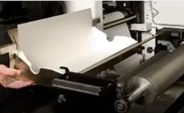 Charola desechable para tinta